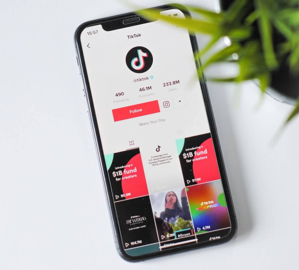 Account met veel tiktok vlogers
